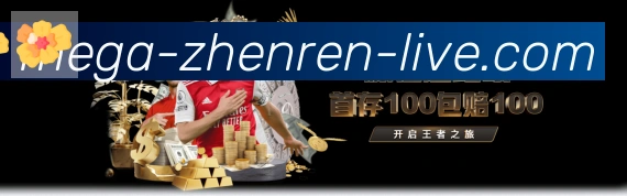 未来规划